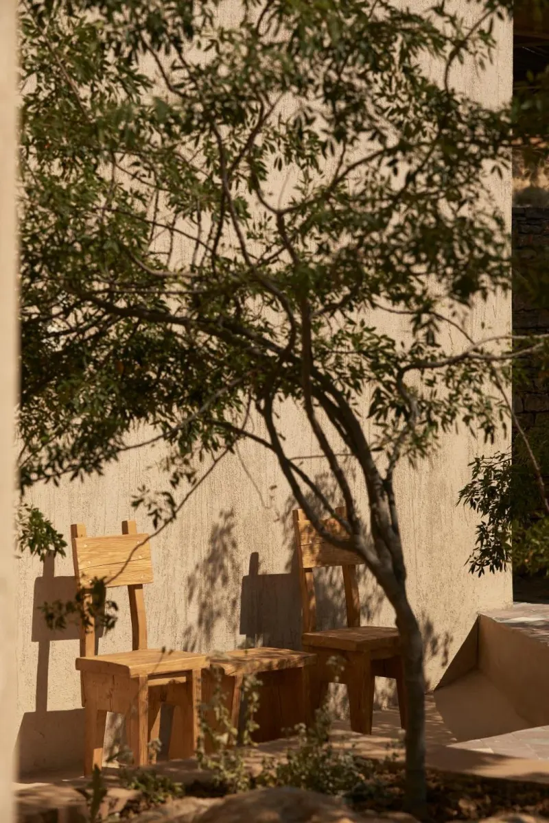 Wooden chairs under tree casting shadows on wall