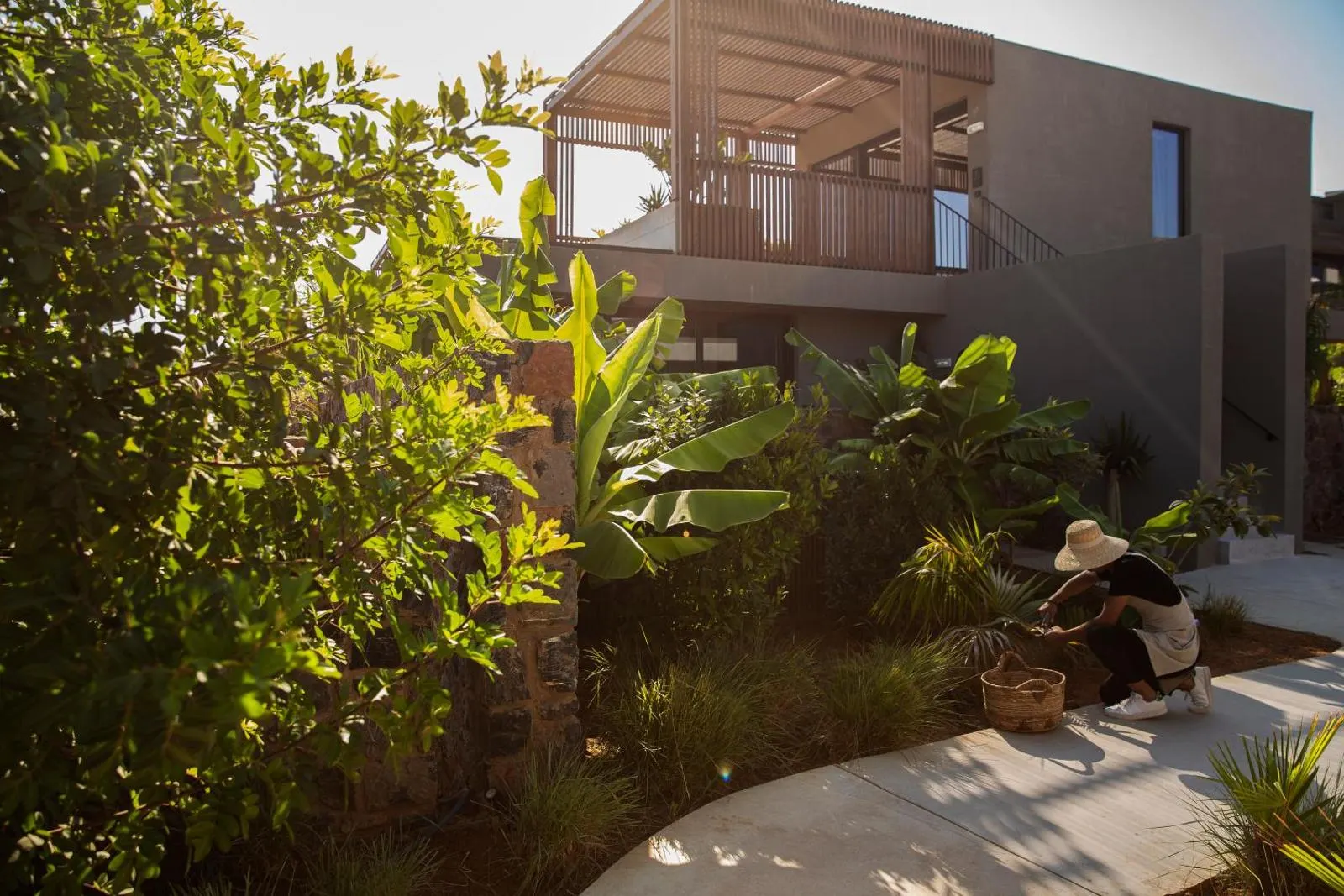 Lush garden pathway leading to guest villa