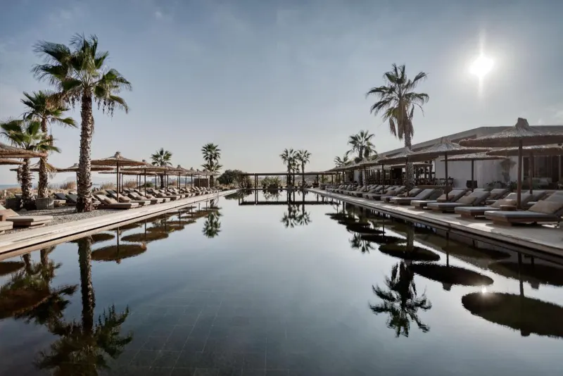 Infinity pool with loungers and palm trees at sunrise