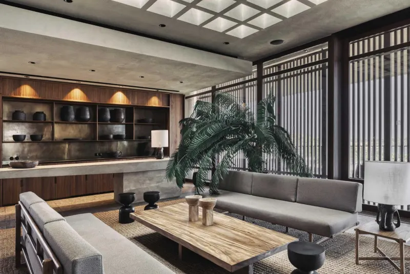 Lounge area with dark wood shelving and sofas