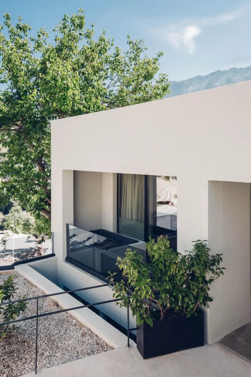 Exterior facade with tree and glass balcony