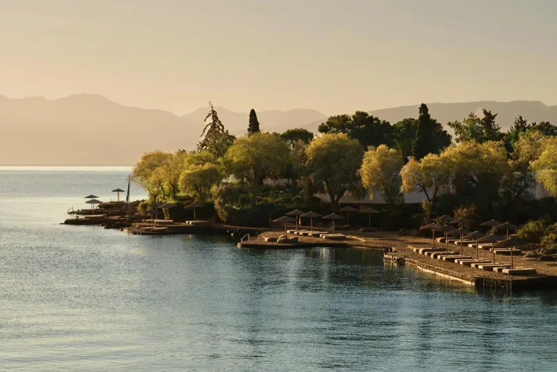 Coastal treeline and jetty at dawn