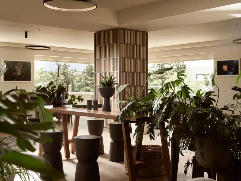 Indoor lounge filled with plants