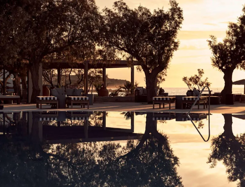 Pool reflecting trees at sunset