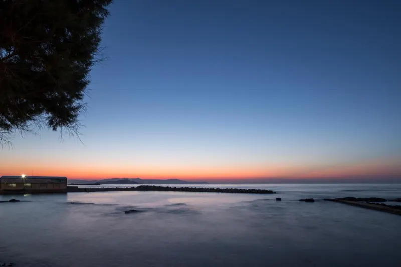 Calm sea horizon at dusk with silhouetted tree