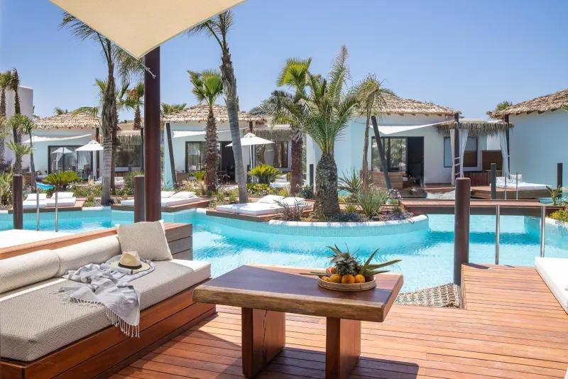 Poolside lounge deck with palm trees and seating