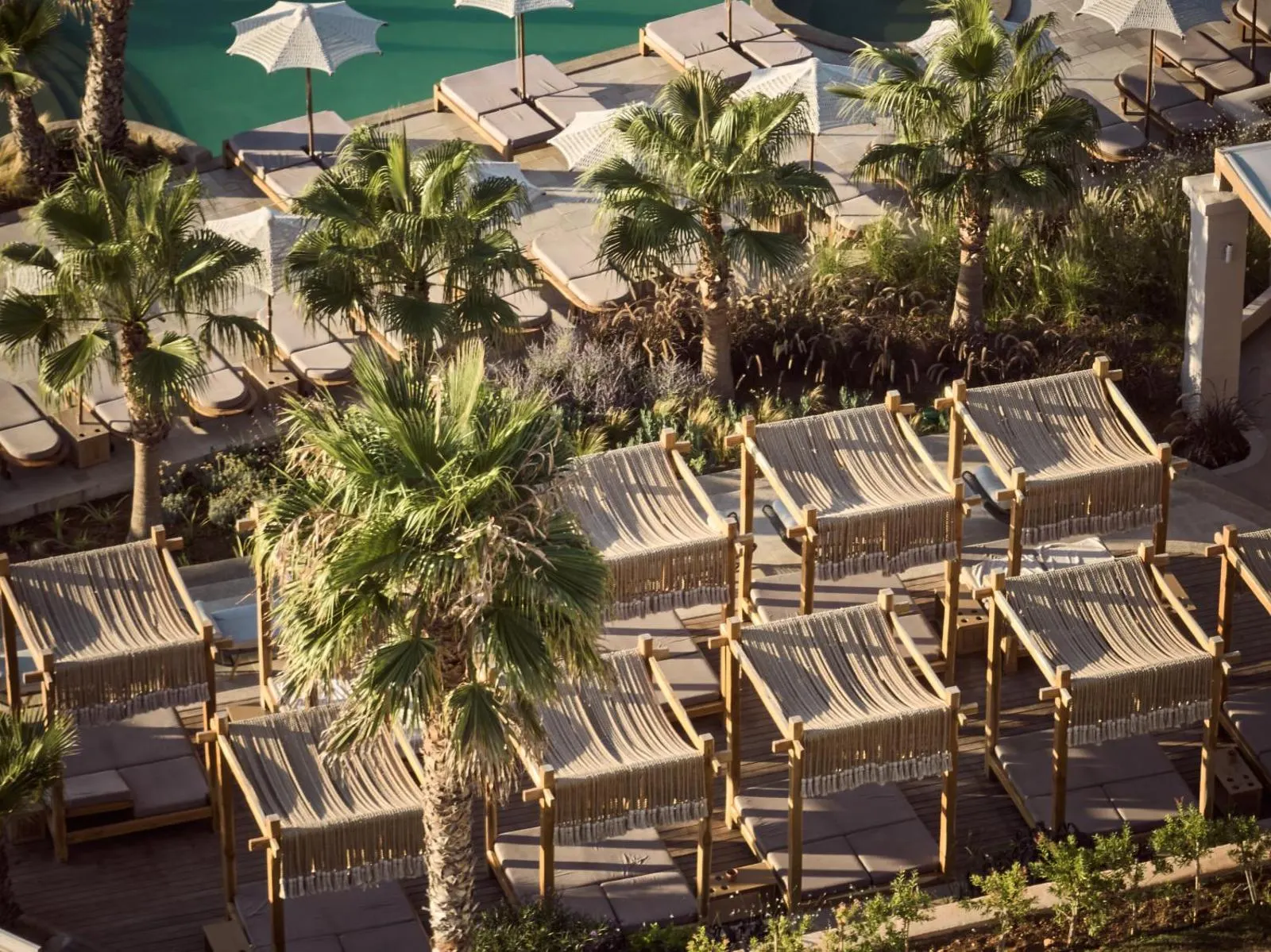 Lounge chairs and palm trees by pool