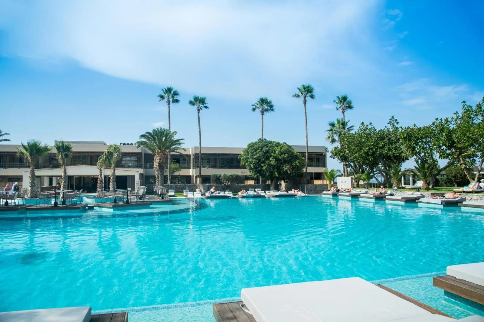 Large pool surrounded by palm trees and building
