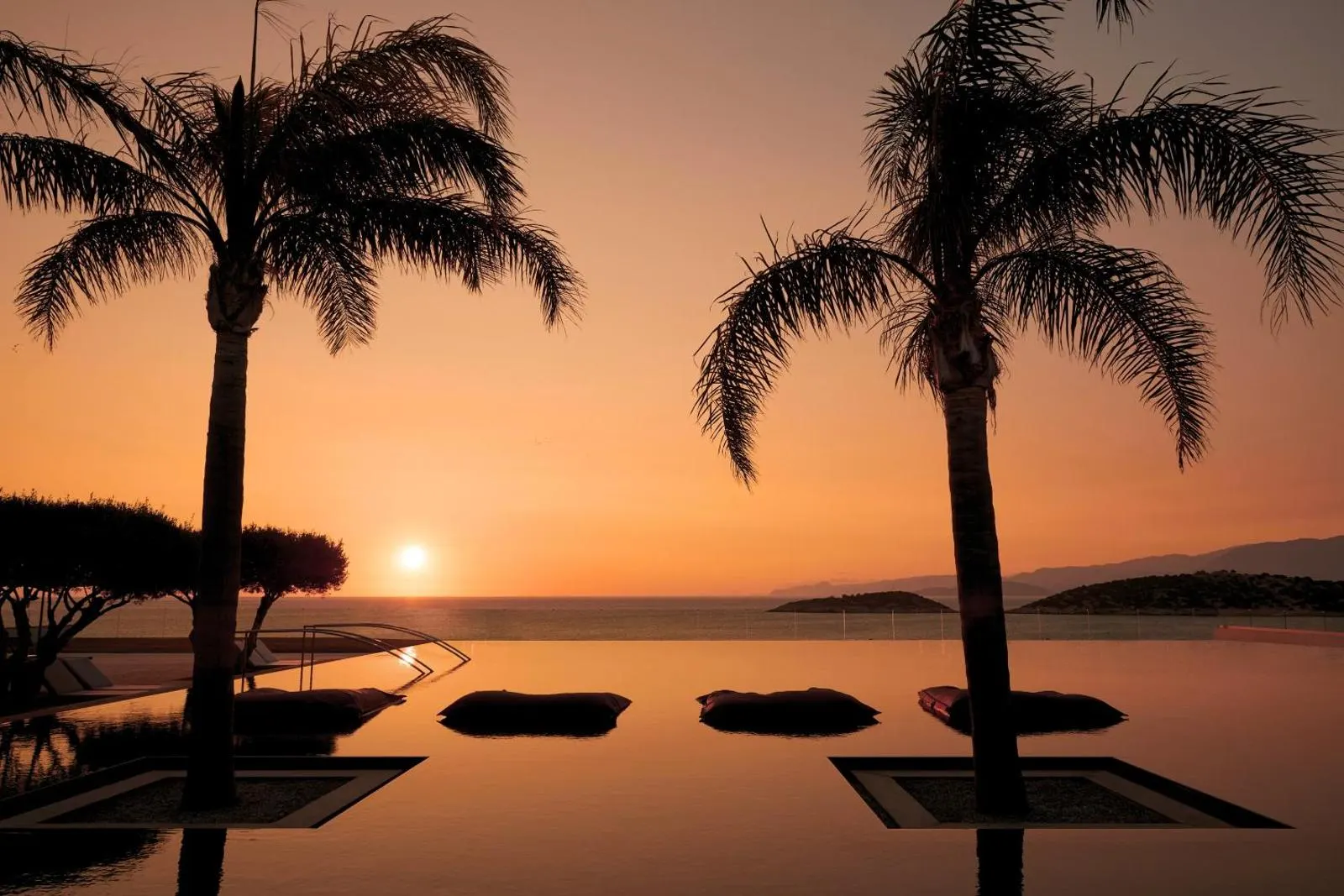 Infinity pool at sunset framed by palm trees