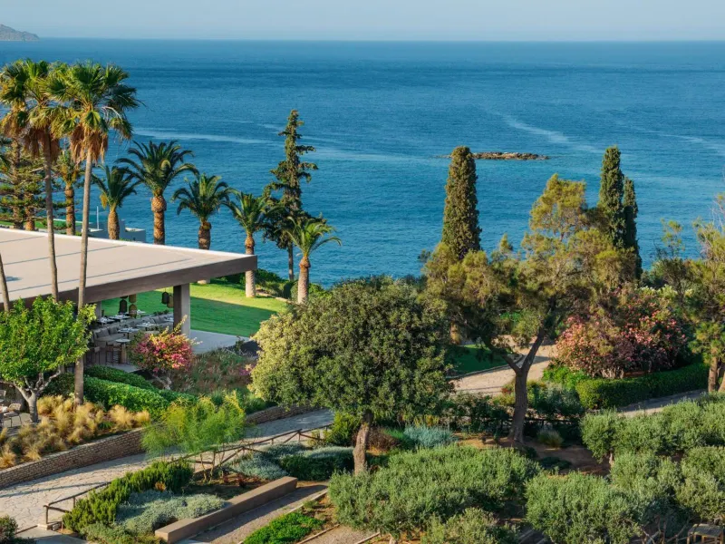 Aerial view of gardens and sea with palm trees