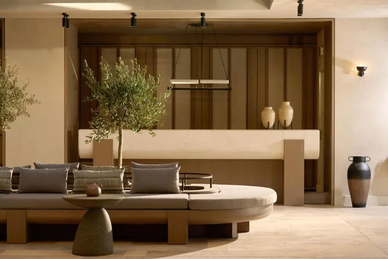 Cozy lounge nook with olive tree accent