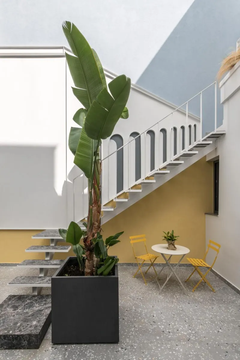 Outdoor terrace with staircase and banana plant