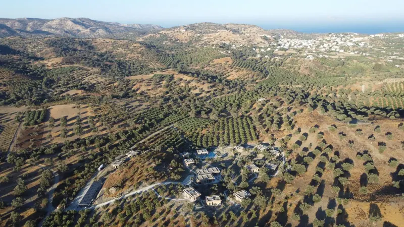 Aerial view of resort nestled among olive groves