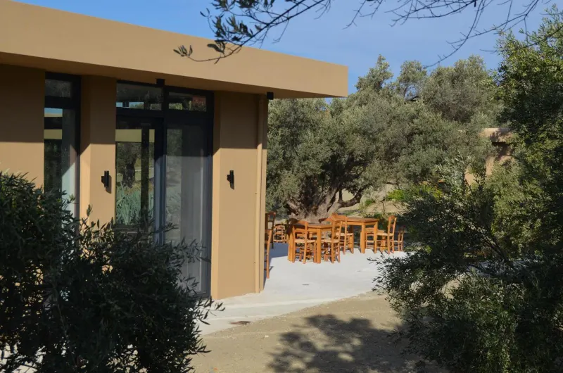 Pathway leading to bungalow with outdoor dining area