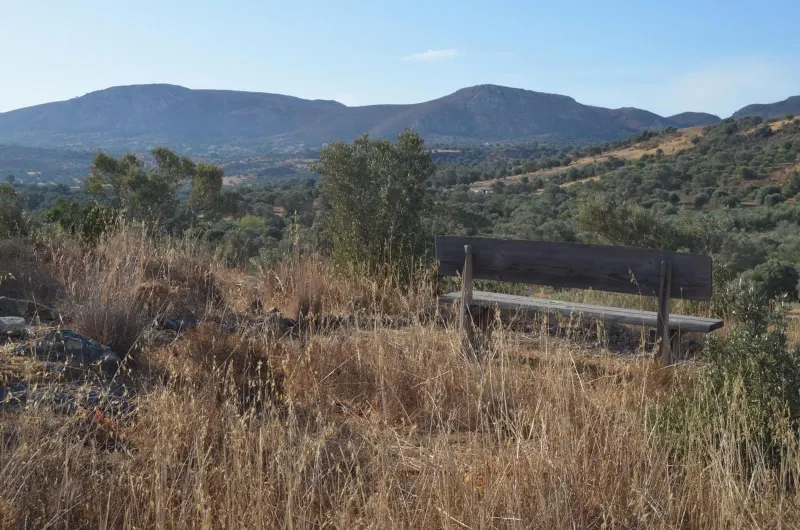 Rustic bench overlooking hills and dry grass