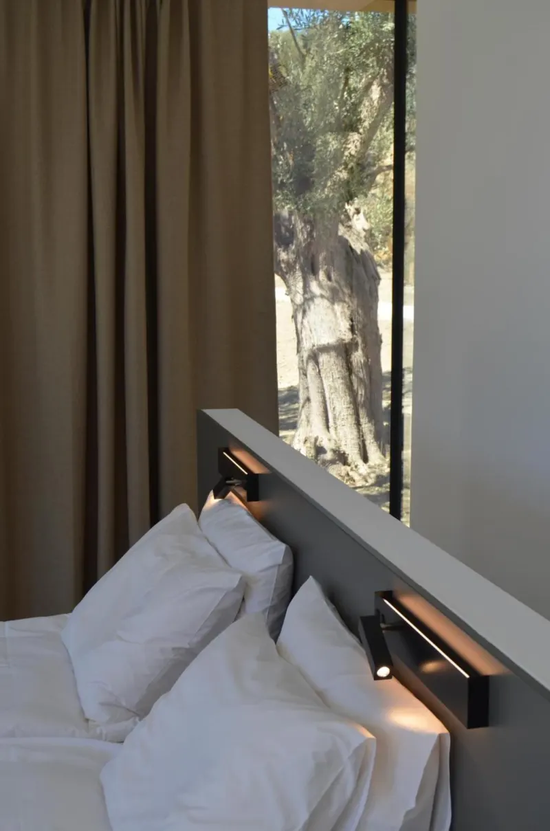 Bed with view of ancient olive tree through window