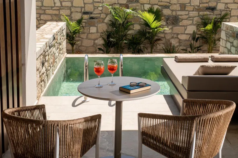 Private terrace with plunge pool and cocktails
