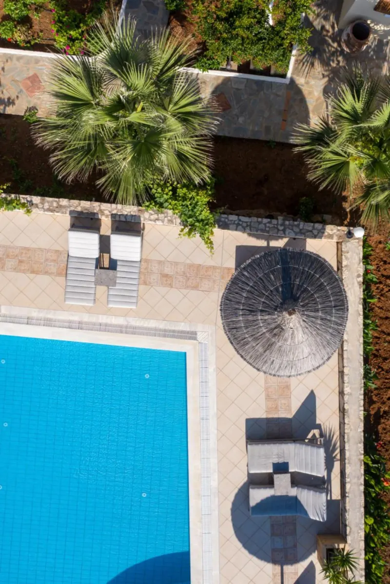 Aerial view of pool surrounded by palm trees