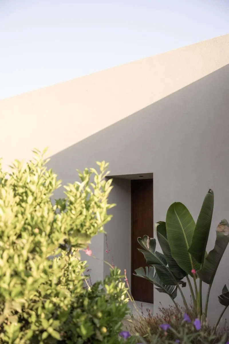 Villa exterior wall with wooden door and plants