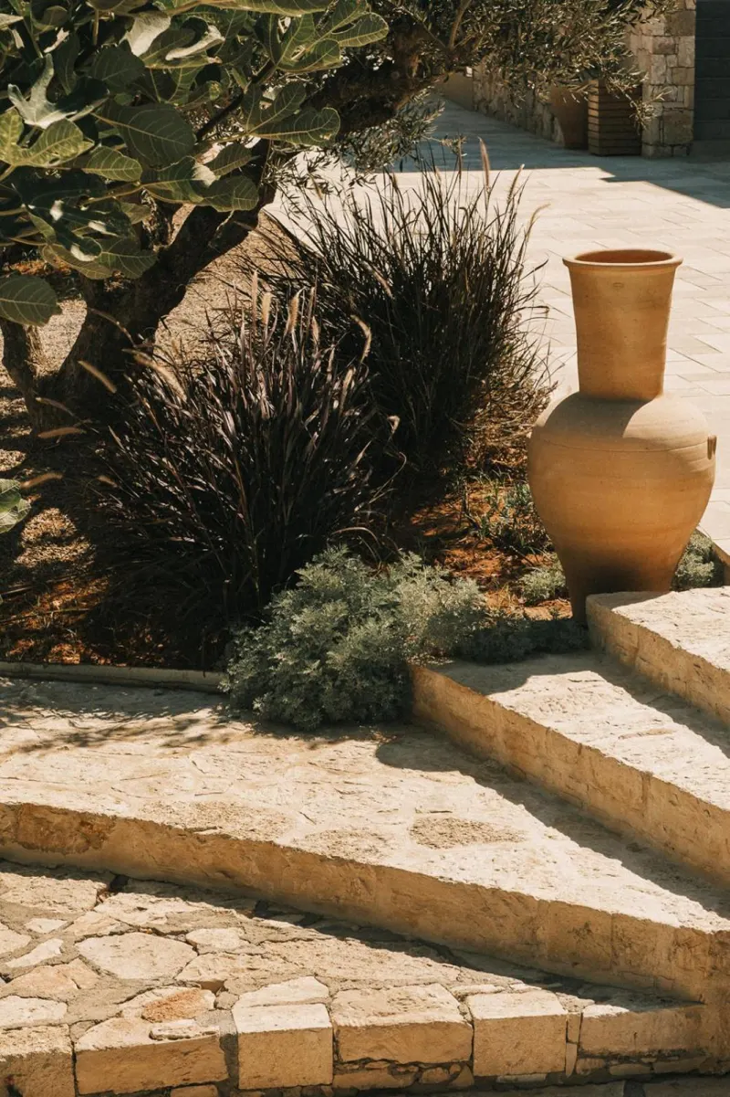 Garden pathway with terracotta vase and greenery